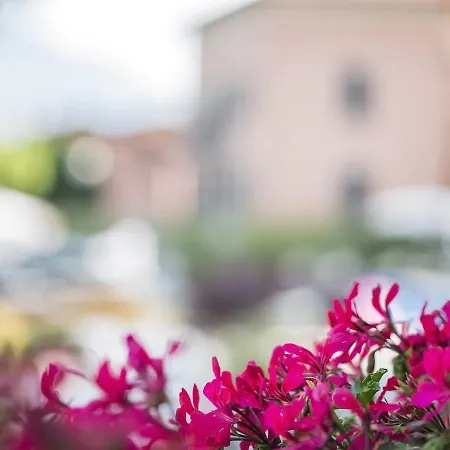 Hotel Crotto Del Misto Lezzeno