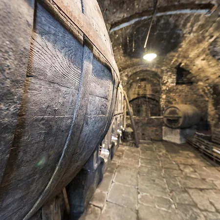 Hotel Crotto Del Misto 2*